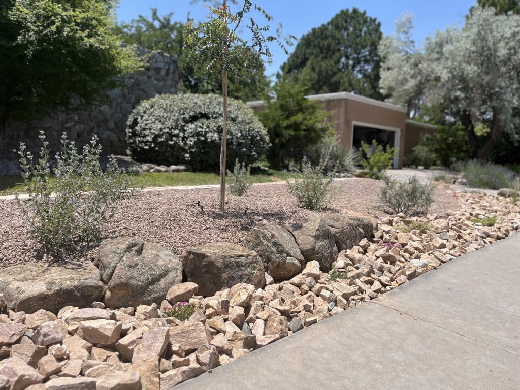 Albuquerque residential landscape with upgraded pathways