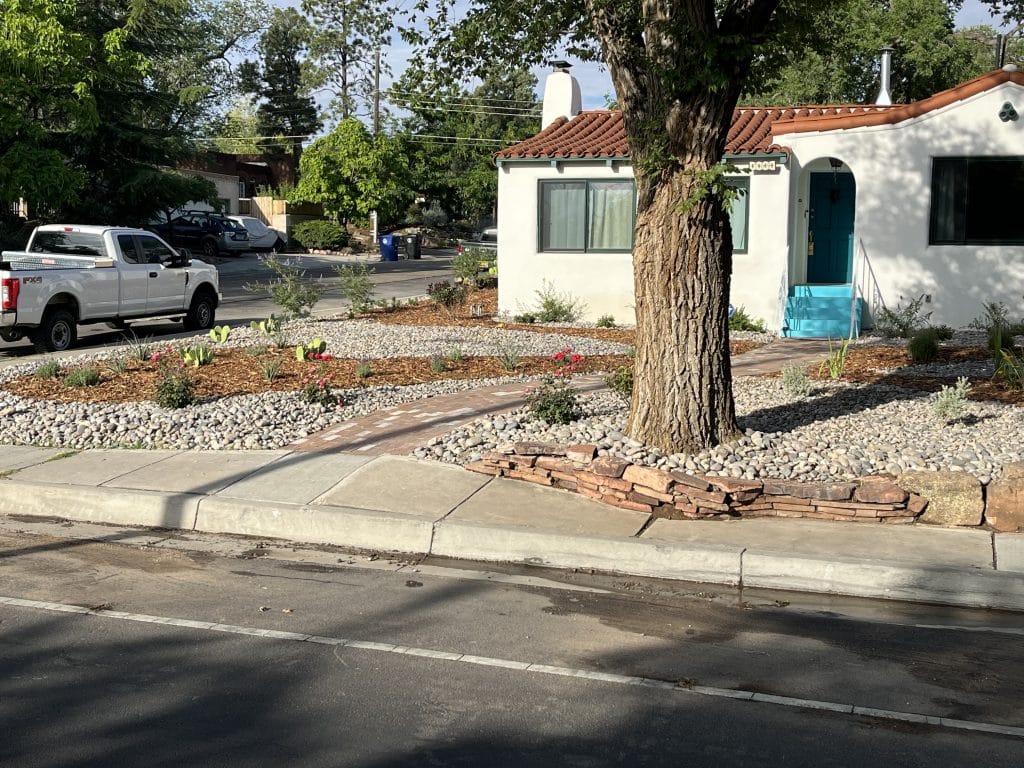 Albuquerque drip irrigation system for desert plants