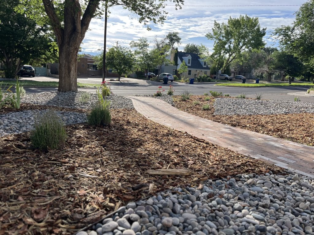 Albuquerque drip irrigation system for desert plants