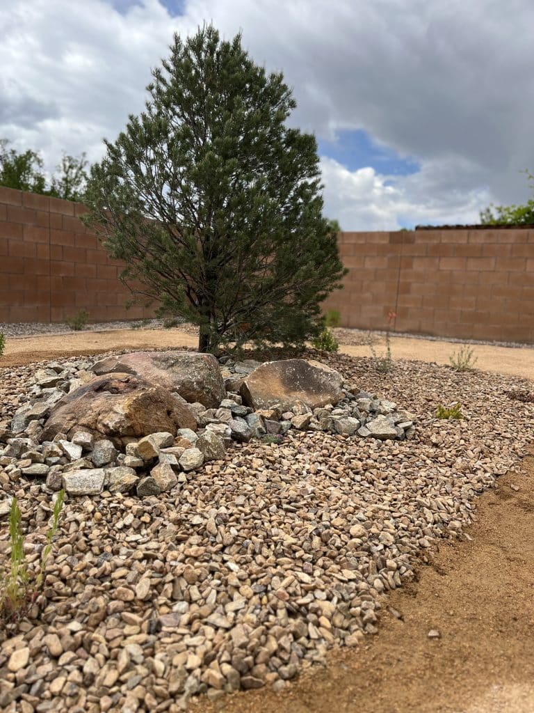 Albuquerque front yard landscaping with flagstone pathway
