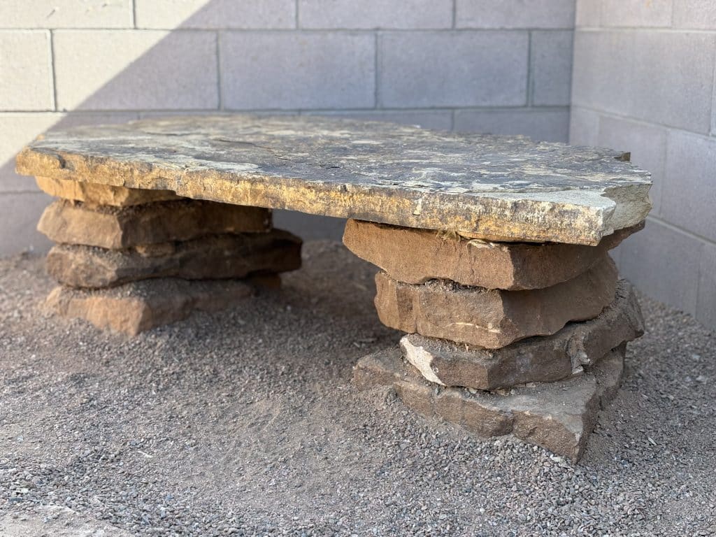 uquerque desert-style landscaping with cactus and rock