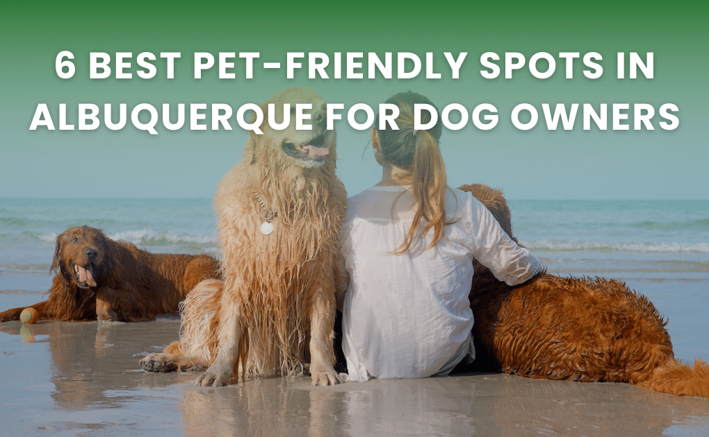 6 Best Pet-Friendly Spots in Albuquerque for Dog Owners