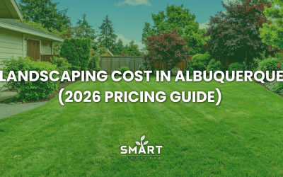 Landscaping Cost in Albuquerque (2026 Pricing Guide)