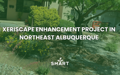Xeriscape Enhancement Project in Northeast Albuquerque