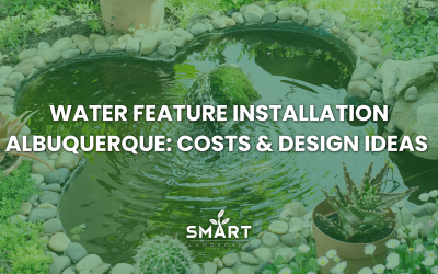 Water Feature Installation Albuquerque: Costs & Design Ideas