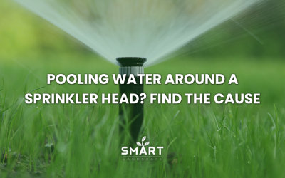 Pooling Water Around a Sprinkler Head? Find the Cause