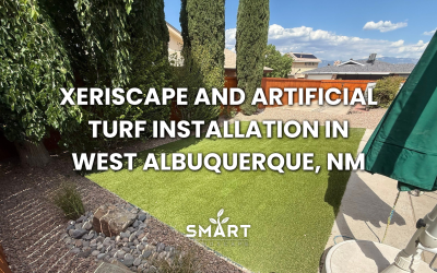 Xeriscape and Artificial Turf Installation in West Albuquerque, NM