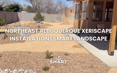 Northeast Albuquerque Xeriscape Installation | SMART Landscape