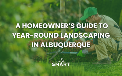 A Homeowner’s Guide to Year-Round Landscaping in Albuquerque