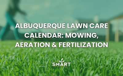 Albuquerque Lawn Care Calendar: Mowing, Aeration & Fertilization